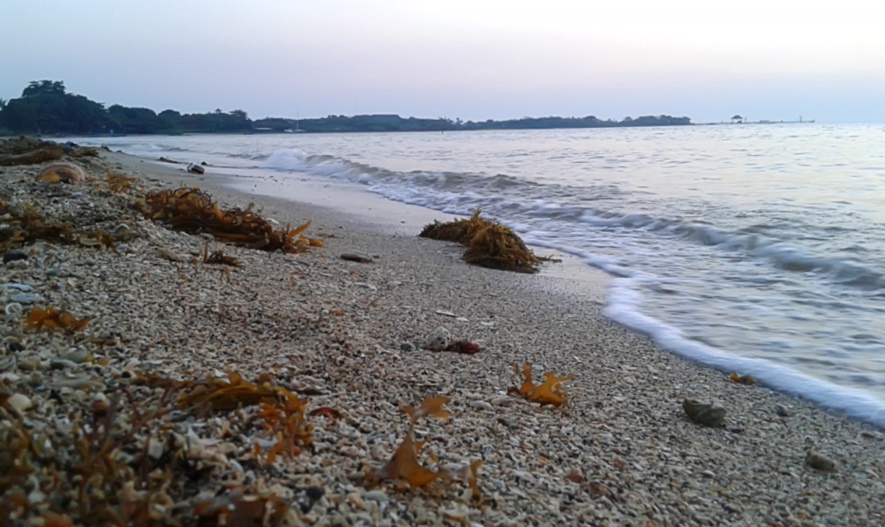 1. Pantai Bandengan, 2. Kepulauan Karimunjawa, 3. Akar Seribu Plajan, 4. Pantai Kartini, 5. Museum R.A Kartini , 6. Pulau Panjang, 7. Benteng Portugis, 8. Air Terjun Songgolangit, 9. Pantai Teluk Awur, 10. Pantai Pungkruk, 11. Pulau Mandalika, 12. Pantai Ombak Mati, 13. Pantai Gua Manik, 14. Goa Tritip, 15. Danau Blingoh, 16. Pertapaan Ratu Kalinyamat, 17. Masjid Mantingan, 18. Air Terjun Jurang Nganten, 19. Candi Bubrah, 20. Tiara Park Waterboom, 21. Jepara Ocean Park, 22. Gunung Genuk, 23. Gunung Muria, 24. Hutan Wisata Wono Sreni Indah, 25. Hutan Pinus Setro Batealit