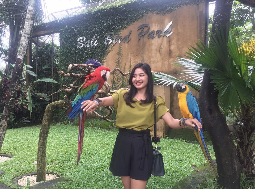 1. Bali Safari &amp; Marine Park, 2. Bali Bird &amp; Reptile Park, 3. Bali Zoo, 4. Bali Elephant Safari Park, 5. Desa Wisata Ubud, 6. Taman Nusa, 7. Goa Gajah, 8. Istana Tampak Siring, 9. Pasar Seni Sukawati, 10. Pantai Lebih Gianyar, 11. Air Terjun Tegenungan, 12. Bukit Jati Waterboom, 13. Sekar Bumi Farm, 14. Rafting Sungai Ayung, 15. Tari Barong di Batubulan
