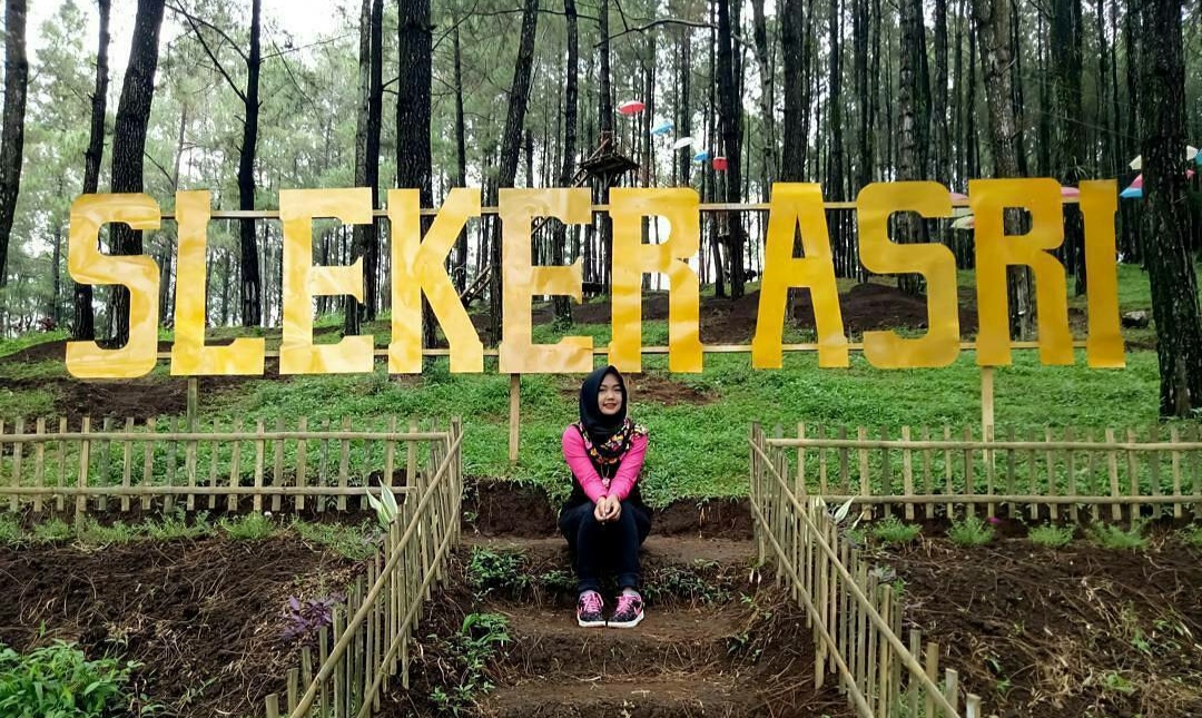 1. Borobudur, 2. Curug Silawe, 3. Hutan Pinus Kragilan, 4. Gunung Tidar, 5. Gereja Ayam, 6. Punthuk Setumbu, 7. Grenden, 8. Candi Asu, 9. Gunung Andong, 10. Candi Selogrio, 11. Rumah Kamera, 12. Sungai Ello, 13. Taman Bermain Kyai Langgeng, 14. Pemandian Air Hangat Candi Umbul, 15. Ketep Pass, 16. Kawasan Pecinan, 17. Air Terjun Sekar Langit, 18. Grojogan Kedung Kayang, 19. Sungai Progo, 20. Kopeng Treetop Adventure, 21. Taman Wisata Kopeng, 22. Air Terjun Umbul Songo, 23. Babadan Pos Pemantauan Merapi, 24. Bukit Menoreh, 25. Candi Mendut, 26. Candi Pawon, 27. Argo Wana Wisata Cupu Mas, 28. Desa Wisata Wanurejo, 29. Desa Wisata Sutopati Kajoran, 30. Agrowisata Banyuroto, 31. Desa Wisata Candirejo , 32. Candi Ngawen, 33. Museum Wayang “Sasana Guna Rasa”, 34. Wisata Kerajinan Pahat Batu Tamanagung, 35. Museum Diponegoro, 36. Bukit Barede, 37. Punthuk Mongkrong, 38. Curug Watuploso , 39. Telaga Bleder, 40. Taman Anggrek Borobudur, 41. Bukit Sleker Asri, 42. Bukit Kertojoyo, 43. Museum Oei Hong Djien, 44. Candi Canggal, 45. Candi Lumbung, 46. Masjid Agung Magelang, 47. Curug Grenjengan Kembar, 48. Pemandian Kali Bening, 49. Curug Dlimas, 50. Kebun Bibit Senopati, 51. Sukmojoyo Hill, 52. Sendang Mudal, 53. Kelenteng Hok An Kiong, 54. Air Terjun Seloprojo, 55. Tuk Gong Adventure