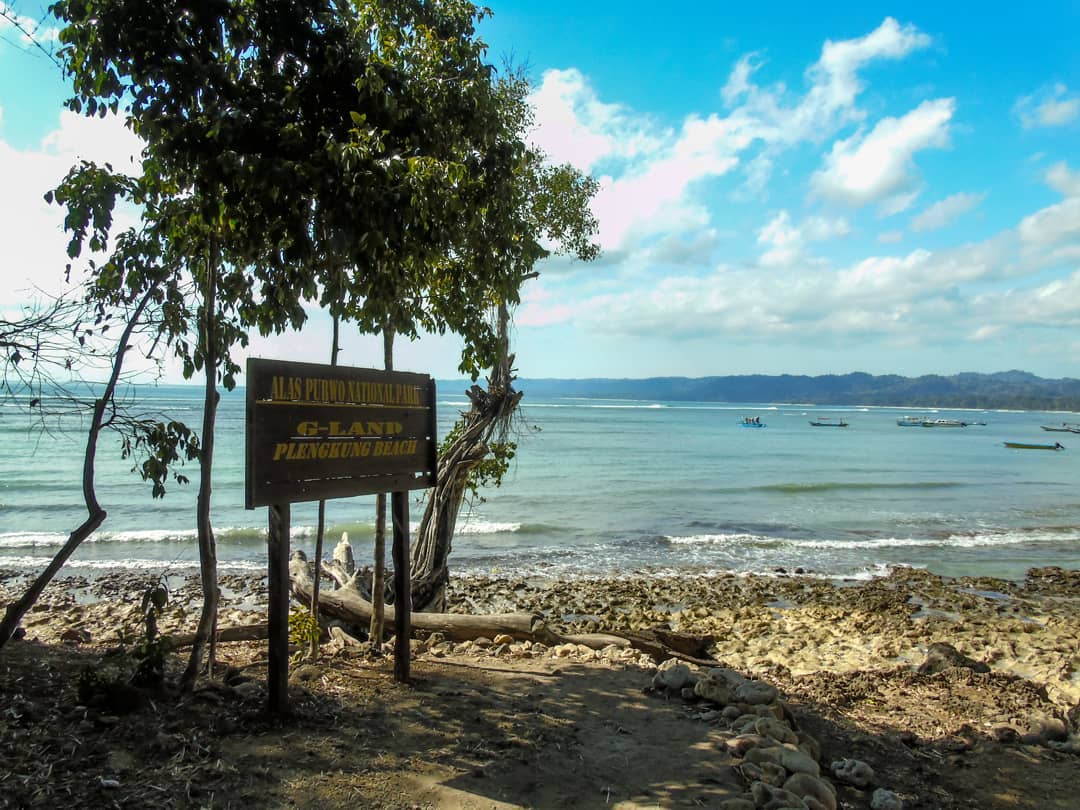 Harga Tiket Masuk, Wisata Banyuwangi, Diakui Dunia, Keindahan dan Potensi, Jalan Menuju Lokasi