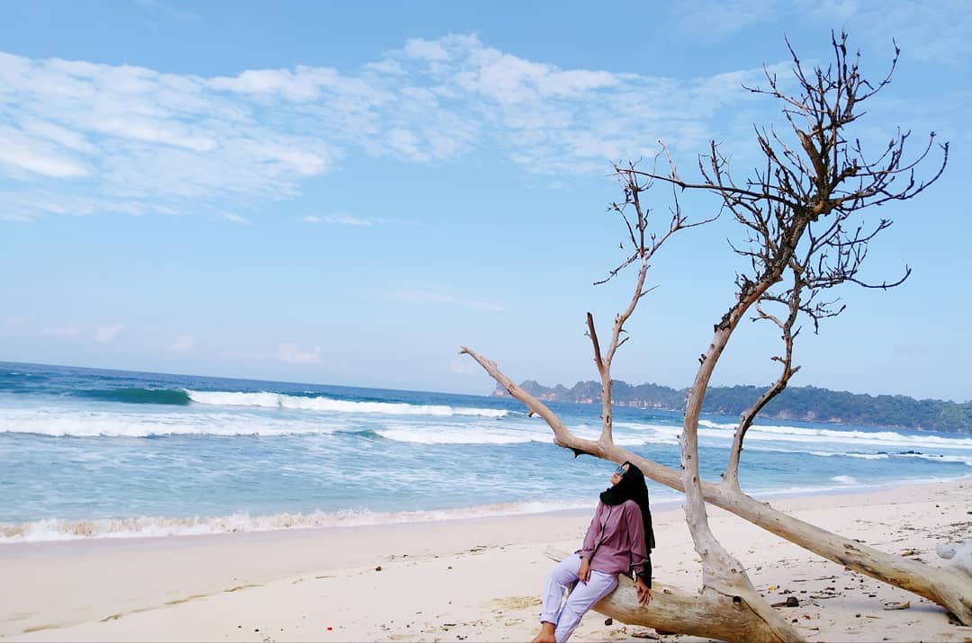 Harga Tiket Masuk, Penginapan, Mengenal Pantai, Rute Menuju Lokasi, Sejarah Singkat, Eksotisme, Aktifitas Menyenangkan, Akses Jalan, Fasilitas Yang Ada, Pesona Pantai Sendiki, Ombak Yang Merdu, Tips Berlibur