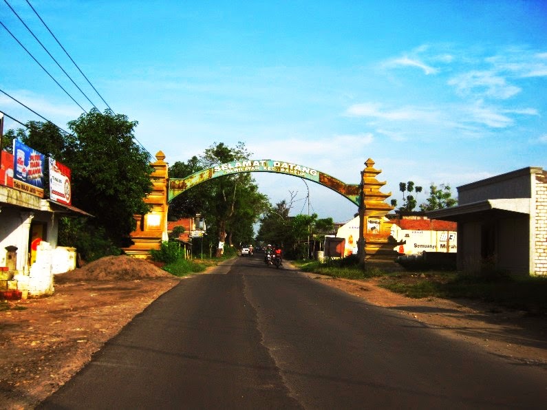 1. Desa Sendang Duwur, 2. Pantai Kutang, 3. Waduk Gondang, 4. Bendungan Babat, 5. Goa Maharani, 6. Monumen Van Der Wijck Lamongan, 7. Makam Sunan Drajat, 8. Museum Sunan Drajat Lamongan, 9. Pantai Kodok, 10. Pantai Brondong, 11. Mazola, 12. Gunung Pegat, 13. Makam Dewi Sekardadu, 14. Sendang Brumbun, 15. Masjid Sendang Duwur, 16. Alun-Alun Kota Lamongan, 17. Wisata Bahari Lamongan, 18. Wego Lamongan, 19. Sukodadi Carnival, 20. Gunungmas Tugu Mantup