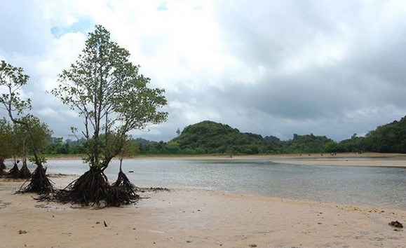 Mau Camping?, Fasilitas dan Akomodasi, Harga Tiket Masuk, Letak dan Lokasi, Rute Menuju Lokasi