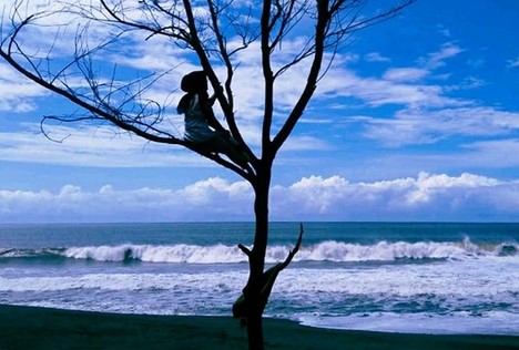 Waktu Berlibur, Misteri Mistis , Keindahan Pantai , Harga Tiket Masuk , Rute Menuju Lokasi 