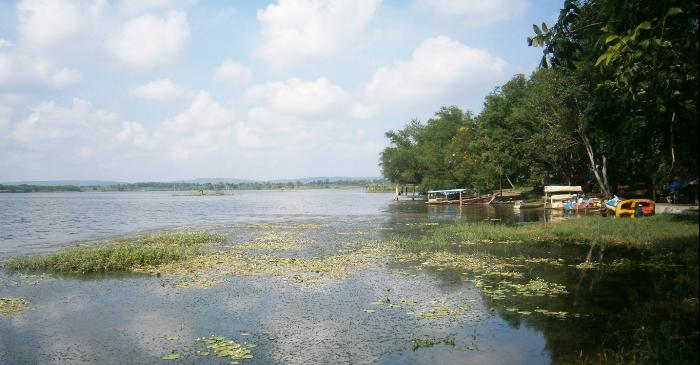 1. Desa Sendang Duwur, 2. Pantai Kutang, 3. Waduk Gondang, 4. Bendungan Babat, 5. Goa Maharani, 6. Monumen Van Der Wijck Lamongan, 7. Makam Sunan Drajat, 8. Museum Sunan Drajat Lamongan, 9. Pantai Kodok, 10. Pantai Brondong, 11. Mazola, 12. Gunung Pegat, 13. Makam Dewi Sekardadu, 14. Sendang Brumbun, 15. Masjid Sendang Duwur, 16. Alun-Alun Kota Lamongan, 17. Wisata Bahari Lamongan, 18. Wego Lamongan, 19. Sukodadi Carnival, 20. Gunungmas Tugu Mantup