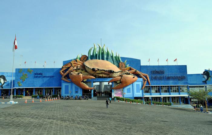 1. Desa Sendang Duwur, 2. Pantai Kutang, 3. Waduk Gondang, 4. Bendungan Babat, 5. Goa Maharani, 6. Monumen Van Der Wijck Lamongan, 7. Makam Sunan Drajat, 8. Museum Sunan Drajat Lamongan, 9. Pantai Kodok, 10. Pantai Brondong, 11. Mazola, 12. Gunung Pegat, 13. Makam Dewi Sekardadu, 14. Sendang Brumbun, 15. Masjid Sendang Duwur, 16. Alun-Alun Kota Lamongan, 17. Wisata Bahari Lamongan, 18. Wego Lamongan, 19. Sukodadi Carnival, 20. Gunungmas Tugu Mantup