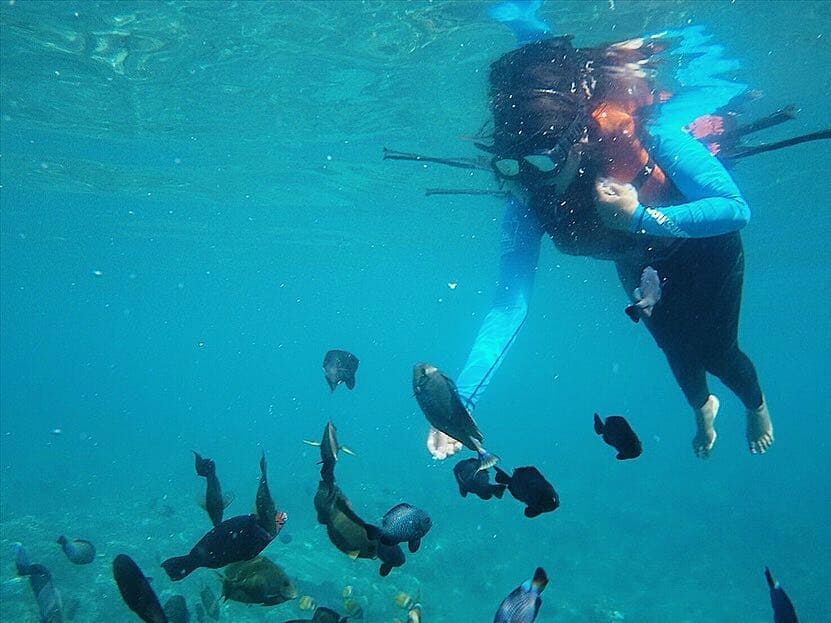 Letak Lokasi , Snorkeling Diving, Eksplore Lebih Dalam, Tempat Makan Terdekat, Fasilitas Sekitar , Harga Tiket Masuk , Rute Menuju Lokasi