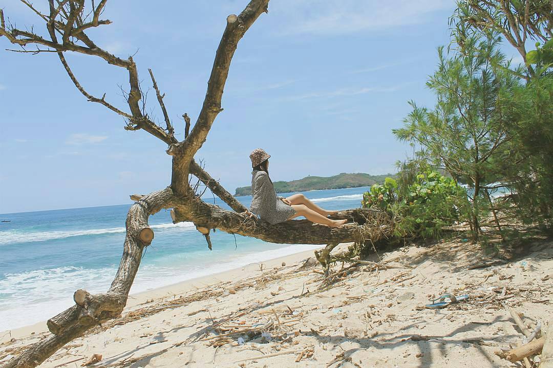 Harga Tiket Masuk, Misteri Desa, Keindahan Pantai , Menelan Korban?, Rute Menuju Pantai , Asal Usul Mistis
