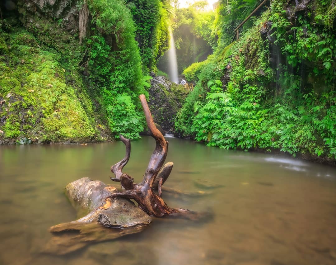 Harga Tiket Masuk, Mengenal Lokasi, Aktifitas Menarik, Menikmati Trekking, Letak Lokasi, Fasilitas Yang Ada
