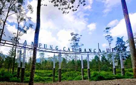 Mengenal Ranca Upas, Fasilitas di Kawasan Ini, Harga Tiket Masuk, Rute Menuju ke Kampung Cai, Jam Operasional, Oleh Oleh Khas, Tips Berlibur