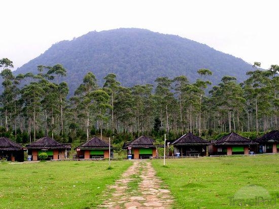 Mengenal Ranca Upas, Fasilitas di Kawasan Ini, Harga Tiket Masuk, Rute Menuju ke Kampung Cai, Jam Operasional, Oleh Oleh Khas, Tips Berlibur