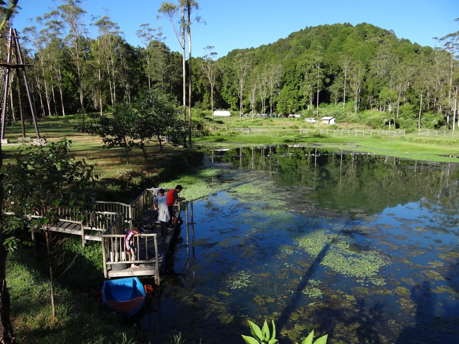 Mengenal Ranca Upas, Fasilitas di Kawasan Ini, Harga Tiket Masuk, Rute Menuju ke Kampung Cai, Jam Operasional, Oleh Oleh Khas, Tips Berlibur
