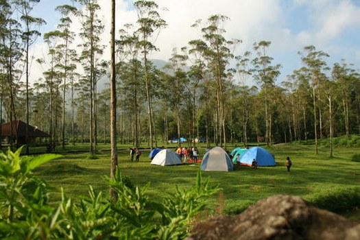 Mengenal Ranca Upas, Fasilitas di Kawasan Ini, Harga Tiket Masuk, Rute Menuju ke Kampung Cai, Jam Operasional, Oleh Oleh Khas, Tips Berlibur