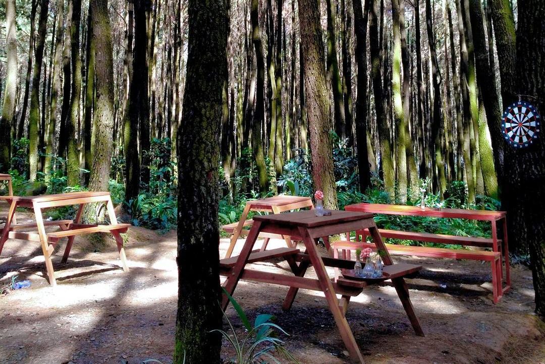 Mengenal Gunung Pancar, Suhu dan Vegetasi, Cerita Misteri, Harga Tiket Masuk, Aktifitas, Hotel Atau Penginapan, Rute Ke Lokasi Naik Motor, Tips Berlibur