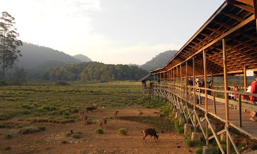 Mengenal Ranca Upas, Fasilitas di Kawasan Ini, Harga Tiket Masuk, Rute Menuju ke Kampung Cai, Jam Operasional, Oleh Oleh Khas, Tips Berlibur
