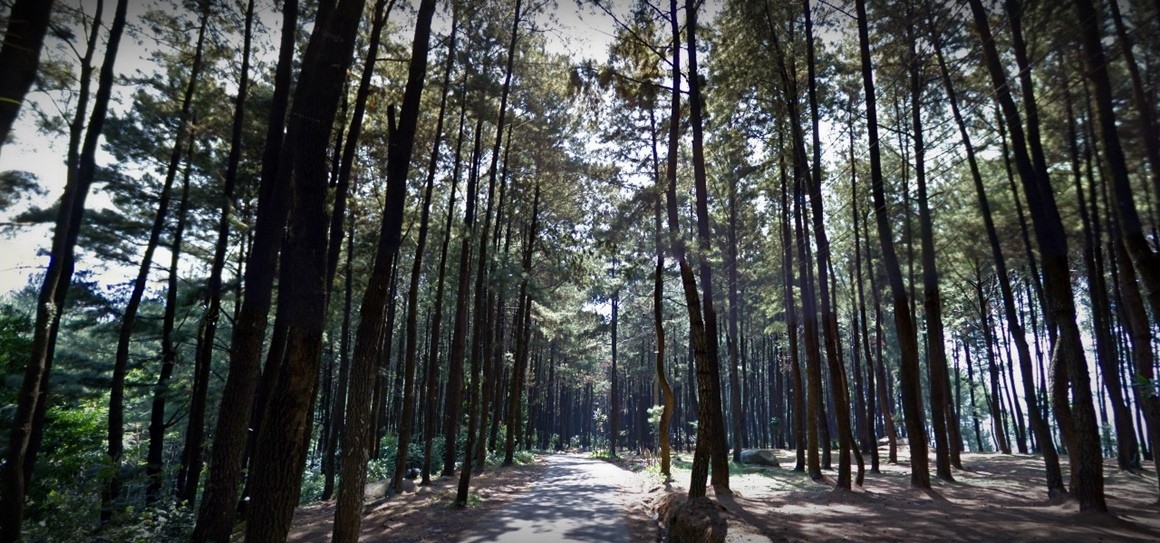 Mengenal Gunung Pancar, Suhu dan Vegetasi, Cerita Misteri, Harga Tiket Masuk, Aktifitas, Hotel Atau Penginapan, Rute Ke Lokasi Naik Motor, Tips Berlibur