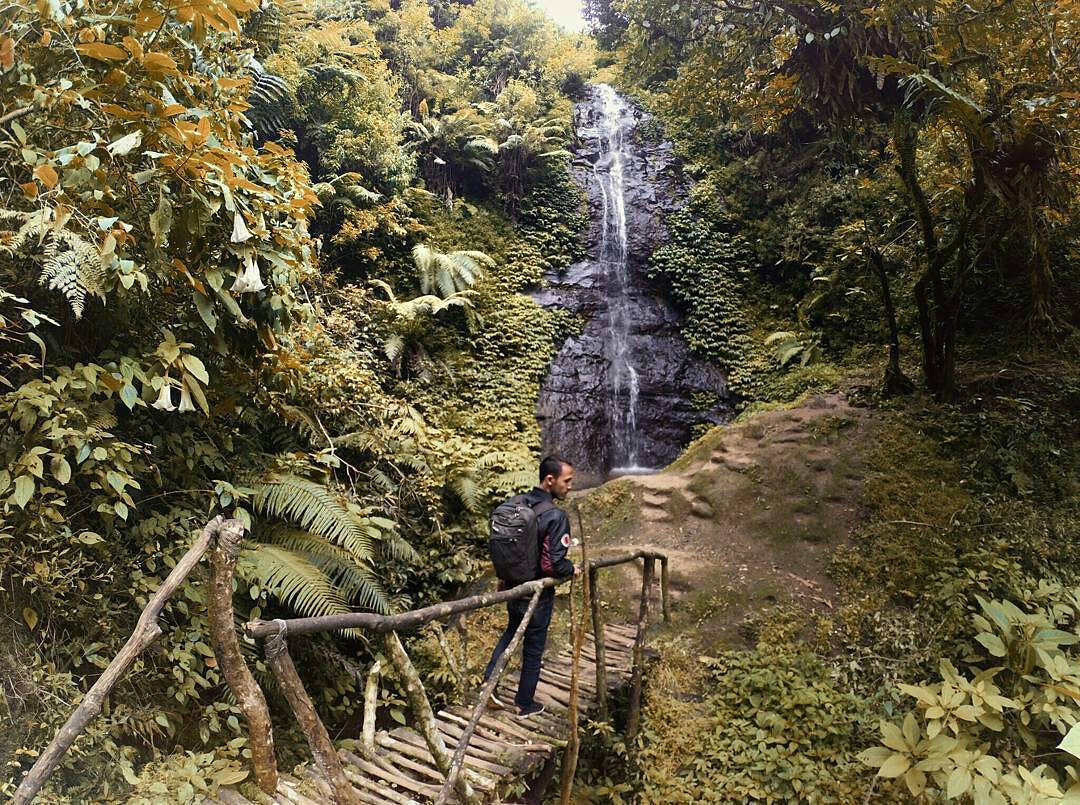 Harga Tiket Masuk, Mengenal Lokasi, Aktifitas Menarik, Menikmati Trekking, Letak Lokasi, Fasilitas Yang Ada