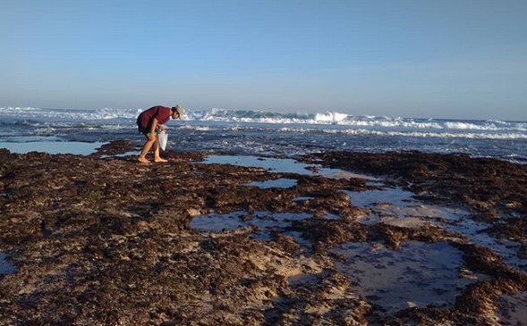 Potensi Wisata, Keindahan Daya Tarik , Rute Menuju Lokasi , Harga Tiket Masuk , Fasilitas