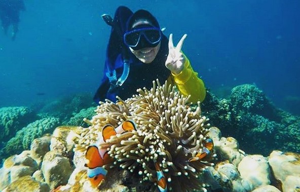 Potensi Besar, Wisata Bawah Laut, Sekilas Keindahan, Daya Tarik , Rute Ke Lokasi