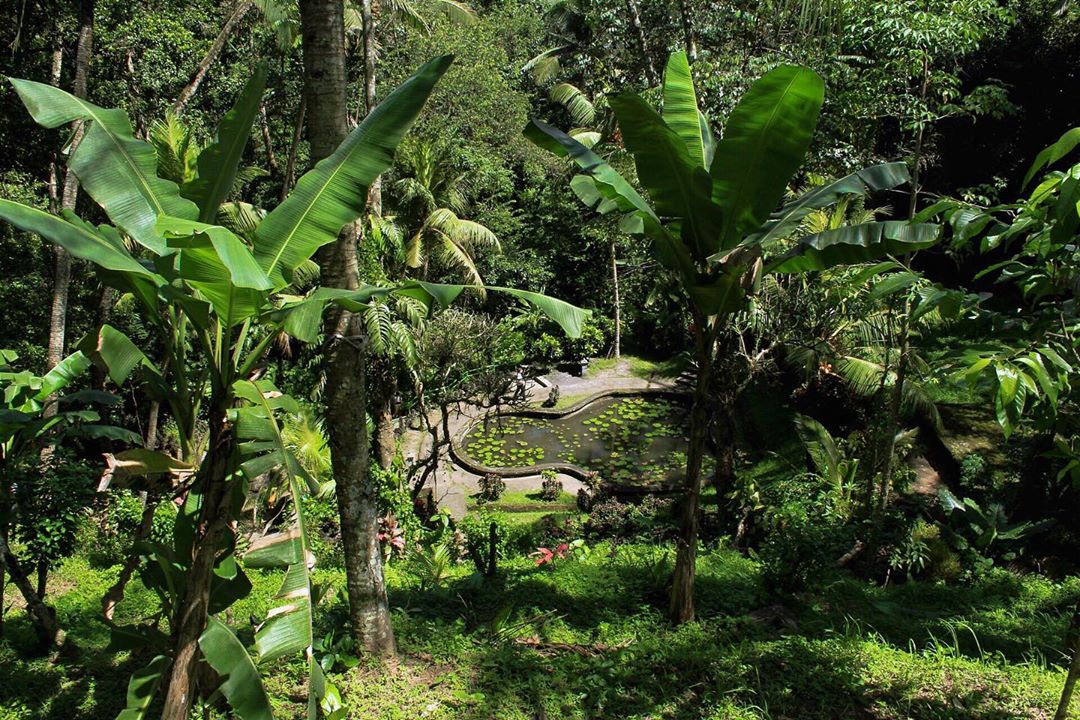 Mengenal Goa Gajah, Sejarah Singkat, Wisata Sejarah, Mengunjungi Kompleks, Akses Menuju Lokasi
