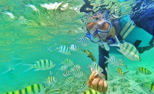 Pulau Pari Cantik, Mengenal Pulau Pari, Menuju Pulau Pari, Daya Tarik , Keindahan