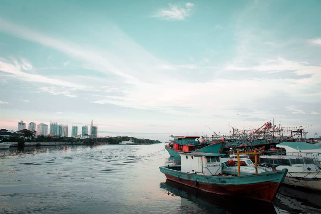 Tetap Mempesona, Mengenal Lokasi, Sejarah Singkat, Perawatan Waduk Pluit, Taman Wisata