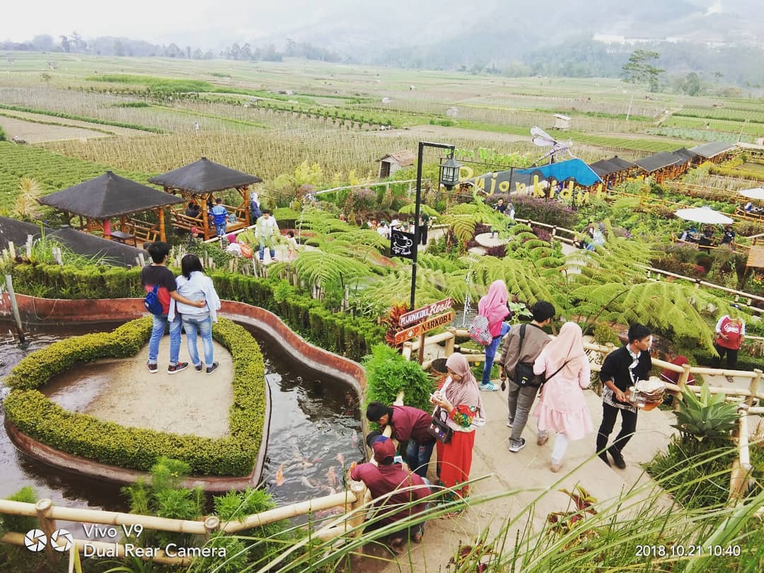 Konsep Kafe, Fasilitas Yang Ada, Rute Menuju Lokasi, Menu Harga Makanan, Yang Dapat Kita Lakukan