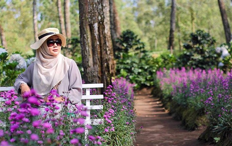 Mengenal Coban Talun, Rute Menuju Lokasi, Harga Tiket Masuk, Ada Apa Saja, Mengunjungi Taman Bunga, Penginapan Apache Camp, Rumah Pagupon, Fasilitas Yang Ada, Mitos Wana Wisata, Cukup Angker, Tips Liburan