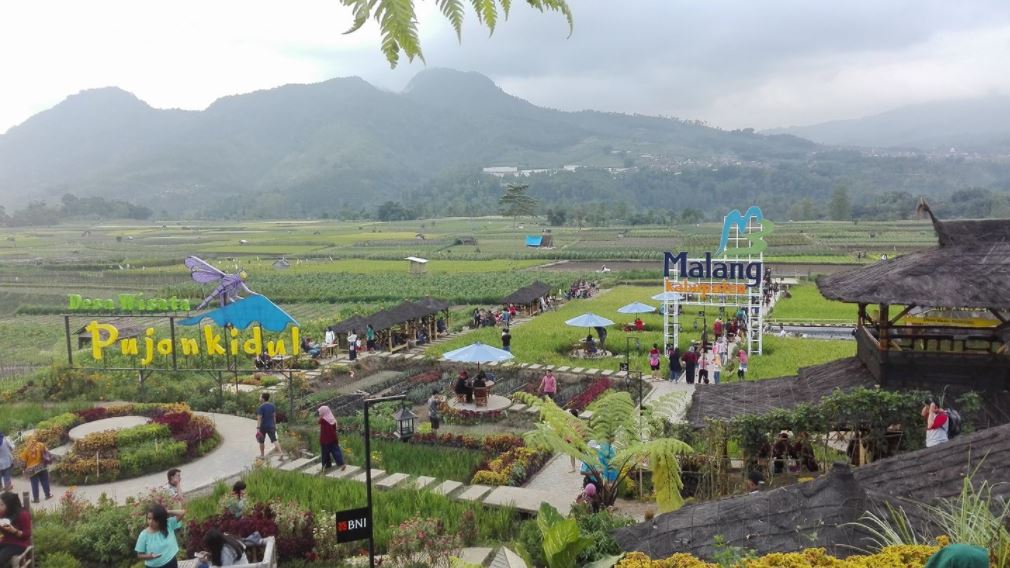 Konsep Kafe, Fasilitas Yang Ada, Rute Menuju Lokasi, Menu Harga Makanan, Yang Dapat Kita Lakukan