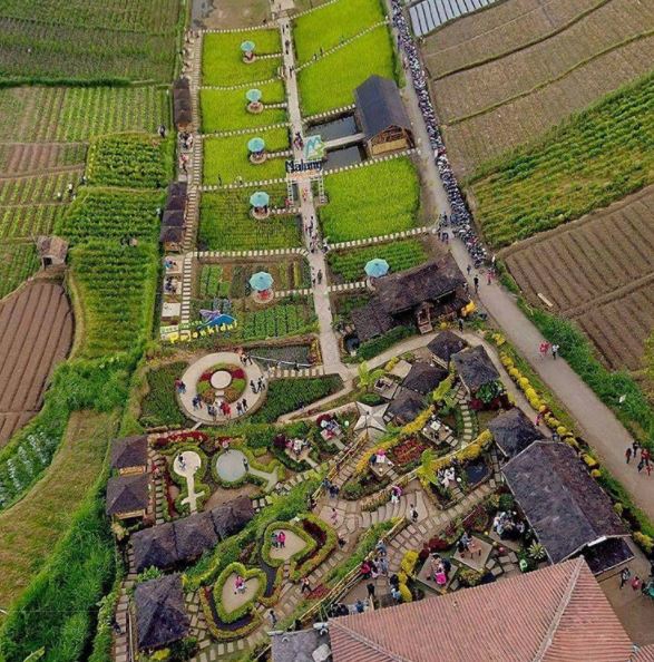 Konsep Kafe, Fasilitas Yang Ada, Rute Menuju Lokasi, Menu Harga Makanan, Yang Dapat Kita Lakukan
