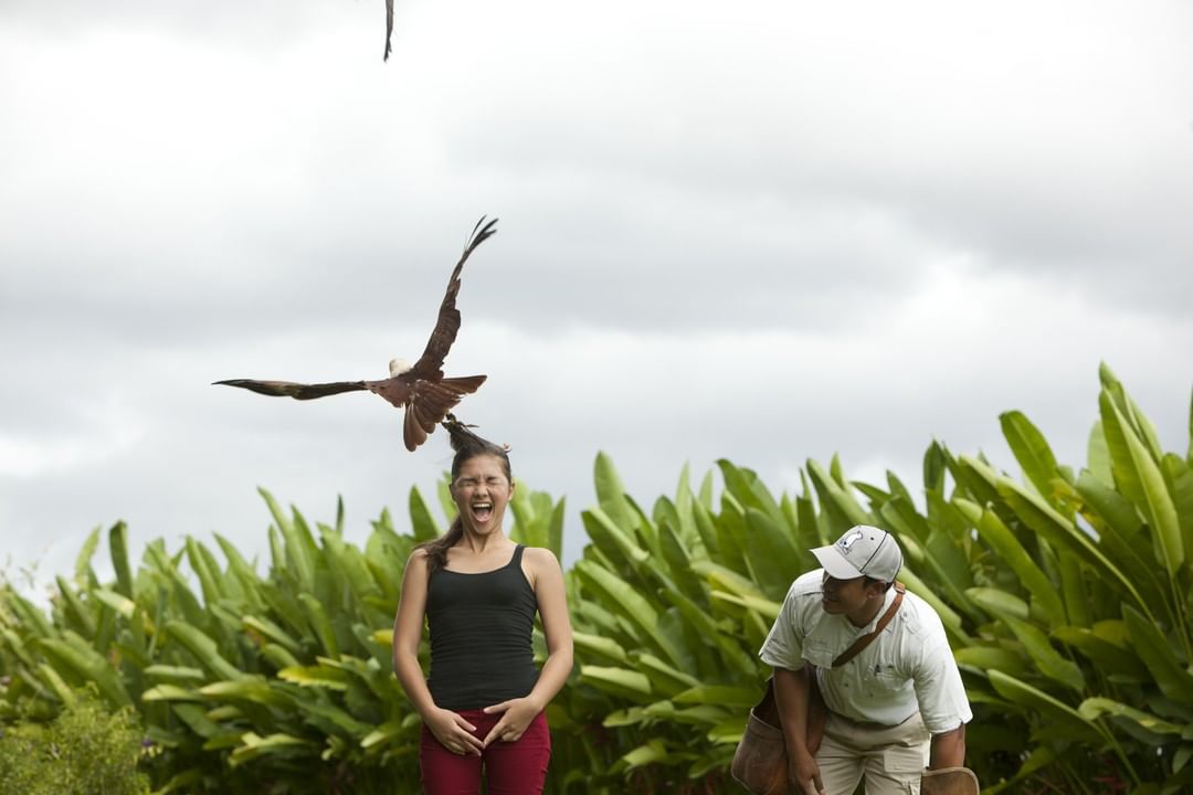 Mengenal Bali Bird Park, Letak dan Lokasi, Harga Tiket Masuk, Fasilitas Yang Ada, South America dan South Africa, Burung di Sumatra dan Borneo, Burung di Papua dan Jawa, Eksotisme Burung di Bali, Bali Rainforest dan Basic Instict, Pertunjukkan Avian 4D Theatre dan Komodo Experience, Guyu-Guyu Corner dan Papua Rainforest Feeding, Lory Feeding, Meet The Big Stars dan Pelican Feeding