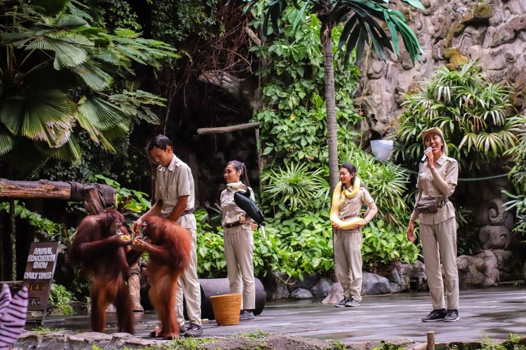 Mengenal Obyek, Keunikan Lokasi, Rute Menuju Lokasi, Menikmati Safari Journey, Bermain Air, Bermain di Area Fun Zone, Tsavo Lion Restaurant, Berkeliling Dengan Gajah, Berbagai Pertunjukkan, Fasilitas Yang Ada, Tips Liburan