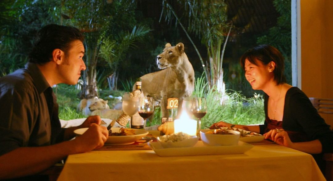 Mengenal Obyek, Keunikan Lokasi, Rute Menuju Lokasi, Menikmati Safari Journey, Bermain Air, Bermain di Area Fun Zone, Tsavo Lion Restaurant, Berkeliling Dengan Gajah, Berbagai Pertunjukkan, Fasilitas Yang Ada, Tips Liburan