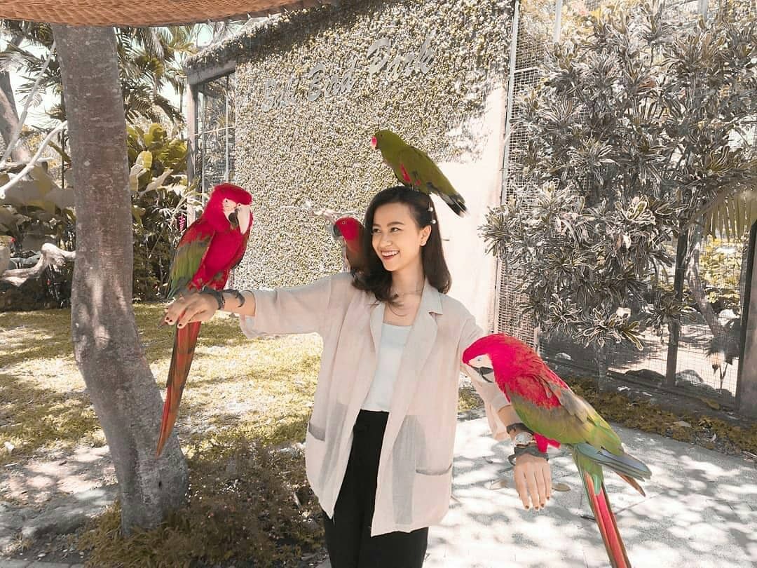 Mengenal Bali Bird Park, Letak dan Lokasi, Harga Tiket Masuk, Fasilitas Yang Ada, South America dan South Africa, Burung di Sumatra dan Borneo, Burung di Papua dan Jawa, Eksotisme Burung di Bali, Bali Rainforest dan Basic Instict, Pertunjukkan Avian 4D Theatre dan Komodo Experience, Guyu-Guyu Corner dan Papua Rainforest Feeding, Lory Feeding, Meet The Big Stars dan Pelican Feeding