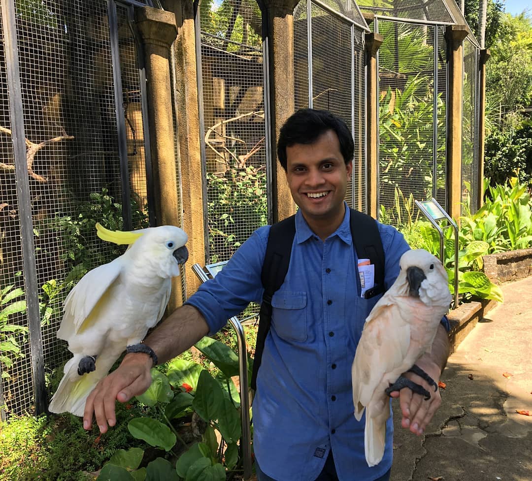 Mengenal Bali Bird Park, Letak dan Lokasi, Harga Tiket Masuk, Fasilitas Yang Ada, South America dan South Africa, Burung di Sumatra dan Borneo, Burung di Papua dan Jawa, Eksotisme Burung di Bali, Bali Rainforest dan Basic Instict, Pertunjukkan Avian 4D Theatre dan Komodo Experience, Guyu-Guyu Corner dan Papua Rainforest Feeding, Lory Feeding, Meet The Big Stars dan Pelican Feeding