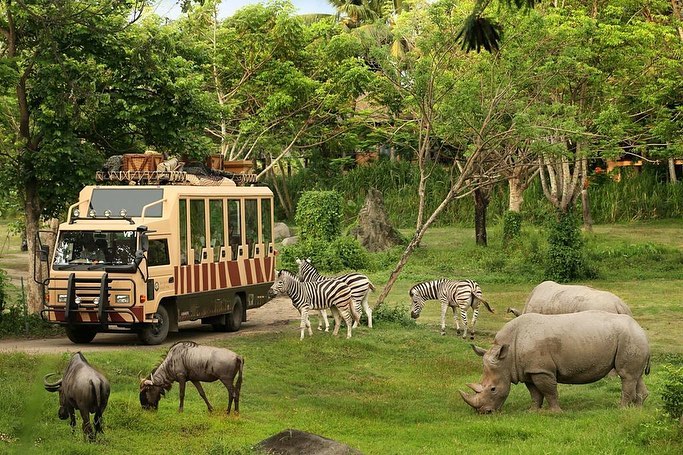 Mengenal Obyek, Keunikan Lokasi, Rute Menuju Lokasi, Menikmati Safari Journey, Bermain Air, Bermain di Area Fun Zone, Tsavo Lion Restaurant, Berkeliling Dengan Gajah, Berbagai Pertunjukkan, Fasilitas Yang Ada, Tips Liburan