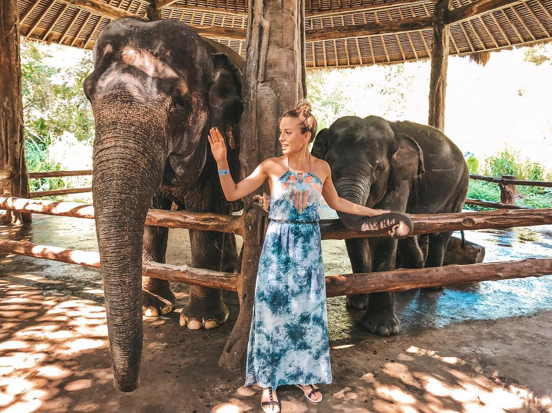 Mengenal Obyek, Keunikan Lokasi, Rute Menuju Lokasi, Menikmati Safari Journey, Bermain Air, Bermain di Area Fun Zone, Tsavo Lion Restaurant, Berkeliling Dengan Gajah, Berbagai Pertunjukkan, Fasilitas Yang Ada, Tips Liburan