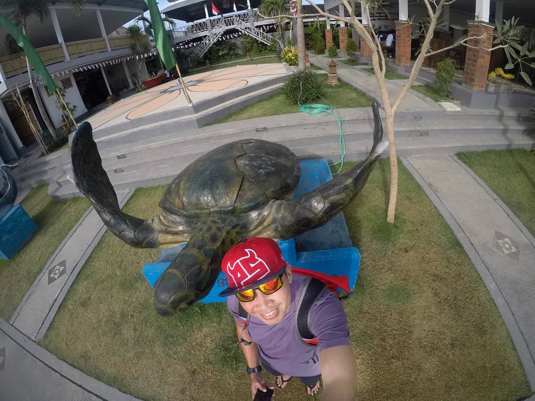 Pelabuhan Benoa, Tempat Wisata Terdekat, Bali Wake Park, Penangkaran Penyu , Pelabuhan Cruise Internasional