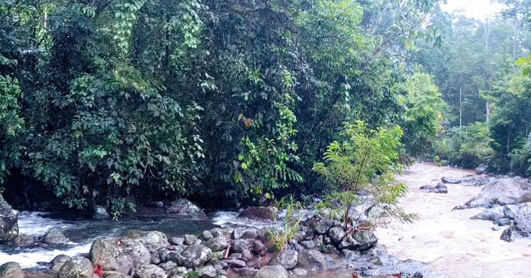 Memang Wonderful, Lokasi Wilayah Konservasi, Fungsi dan Tujuan, Kegiatan di Taman, Tips dan Info