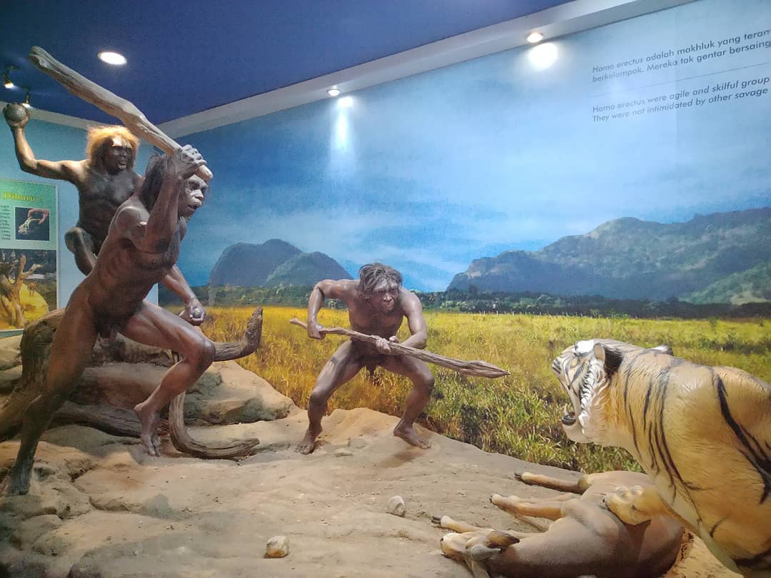 Museum Purbakala , Sejarah Singkat , Akses Ke Lokasi , Koleksi Museum , Fasilitas Yang Ada 