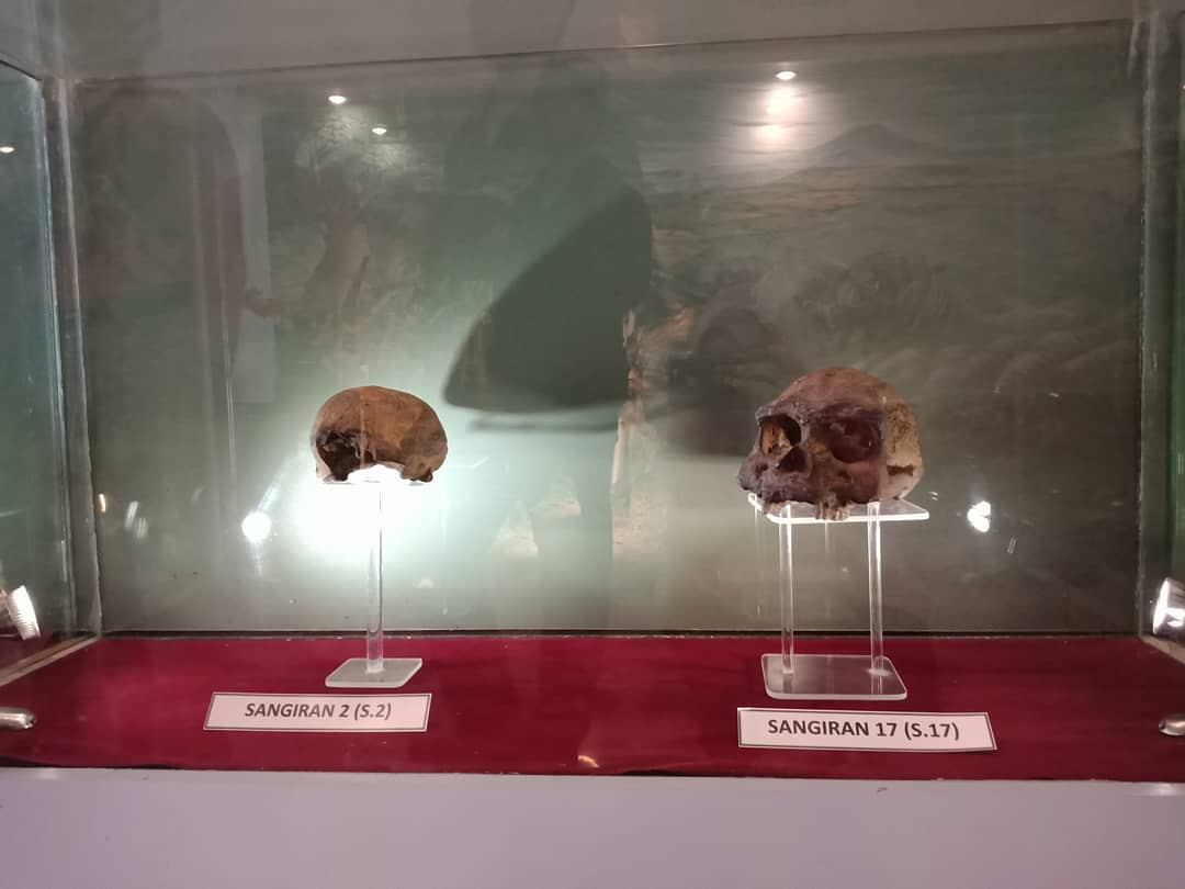 Museum Purbakala , Sejarah Singkat , Akses Ke Lokasi , Koleksi Museum , Fasilitas Yang Ada 