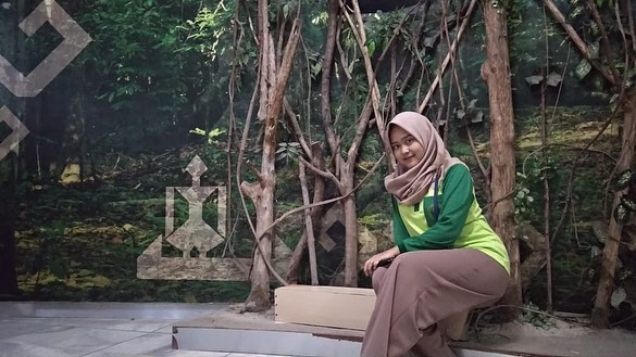 Negara Kepulauan, Profil Singkat, Cerita Berdirinya, Apa Saja Isi-nya?, Bagaimana Bisa Berwisata