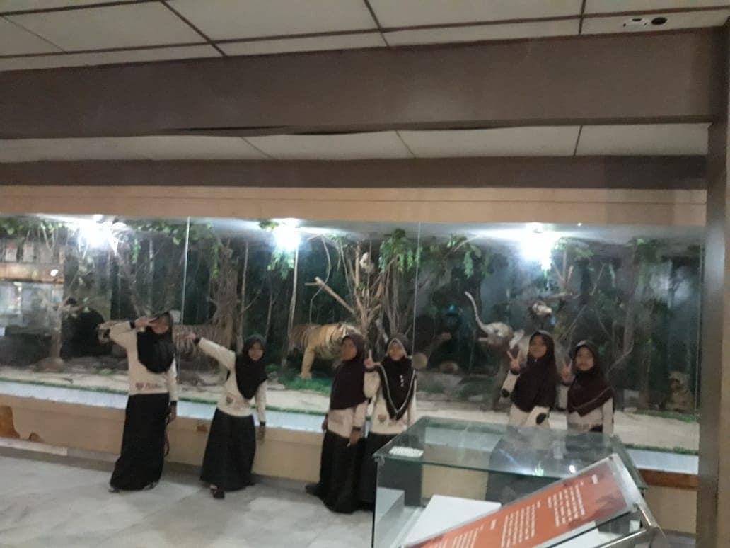 Negara Kepulauan, Profil Singkat, Cerita Berdirinya, Apa Saja Isi-nya?, Bagaimana Bisa Berwisata