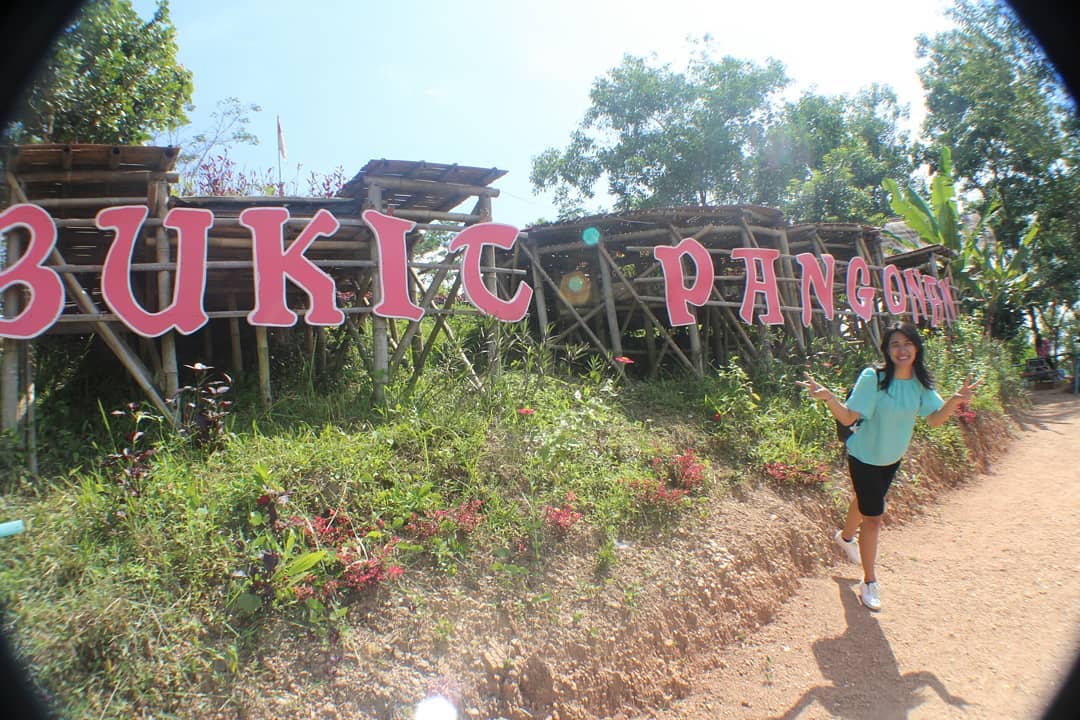 Sekilas Sejarah , Keunikan Bukit , Lokasi Dimana, Fasilitas , Harga Tiket Masuk , Cara Menuju Lokasi