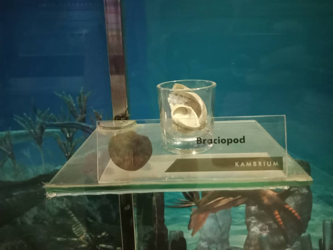 Museum Purbakala , Sejarah Singkat , Akses Ke Lokasi , Koleksi Museum , Fasilitas Yang Ada 