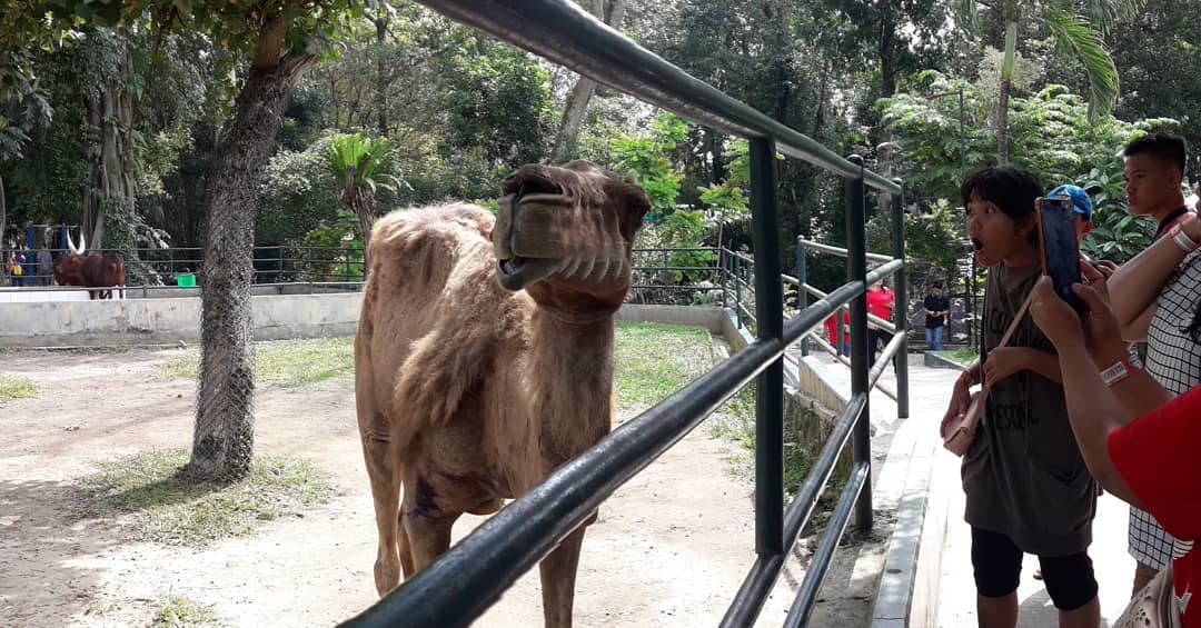 Keunikan Lokasi, Harga Tiket Masuk , Dapat Apa Saja, Sejarah Singkat, Wisata Populer Lain 