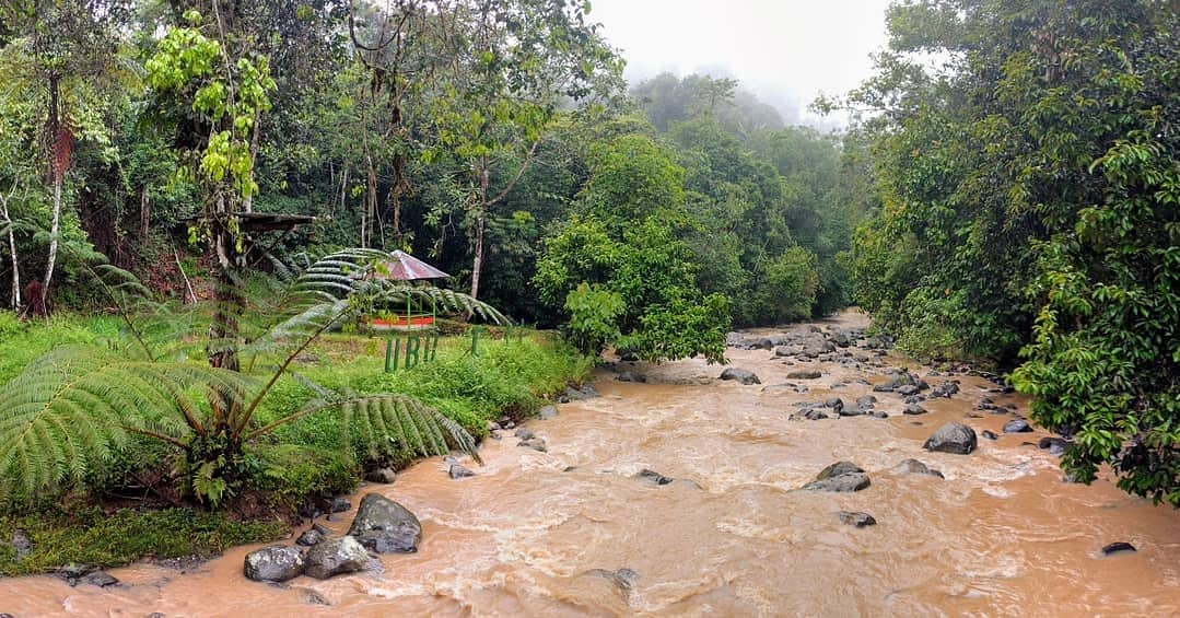 Memang Wonderful, Lokasi Wilayah Konservasi, Fungsi dan Tujuan, Kegiatan di Taman, Tips dan Info