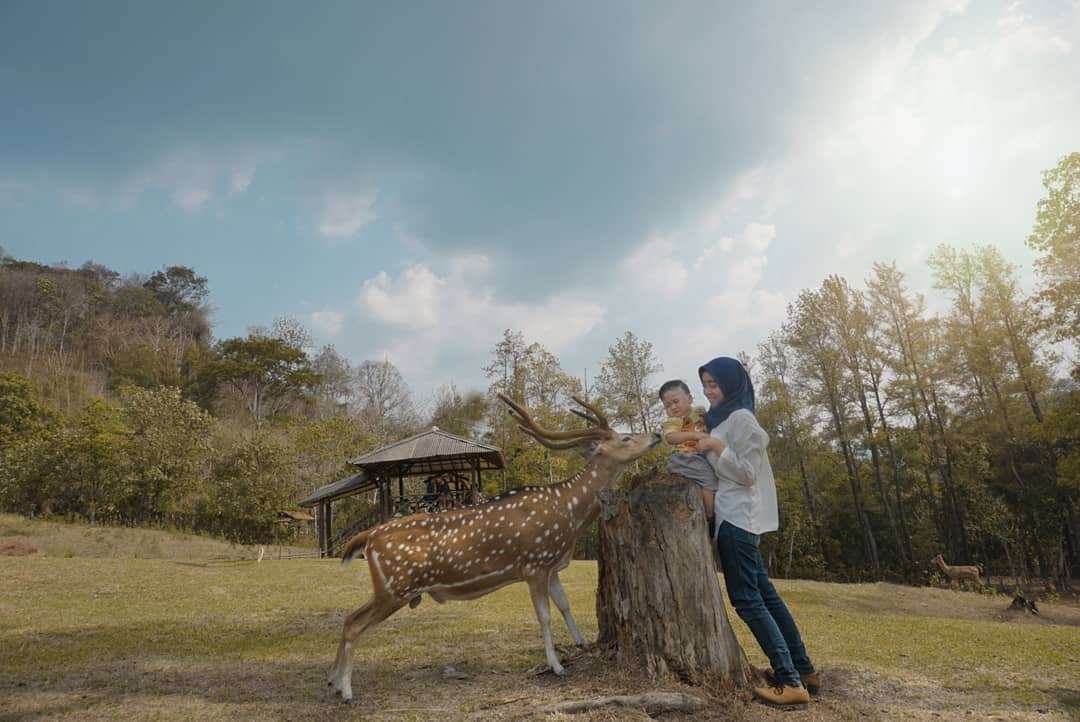 Sekilas Sejarah , Lokasi Dimana, Keunikan Keindahan , Harga Tiket Masuk, Fasilitas , Tips Berkunjung 