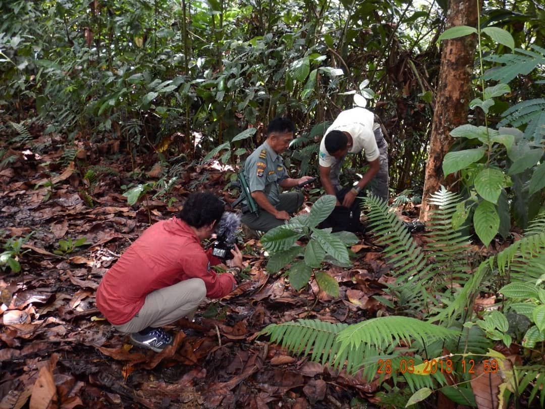 Memang Wonderful, Lokasi Wilayah Konservasi, Fungsi dan Tujuan, Kegiatan di Taman, Tips dan Info