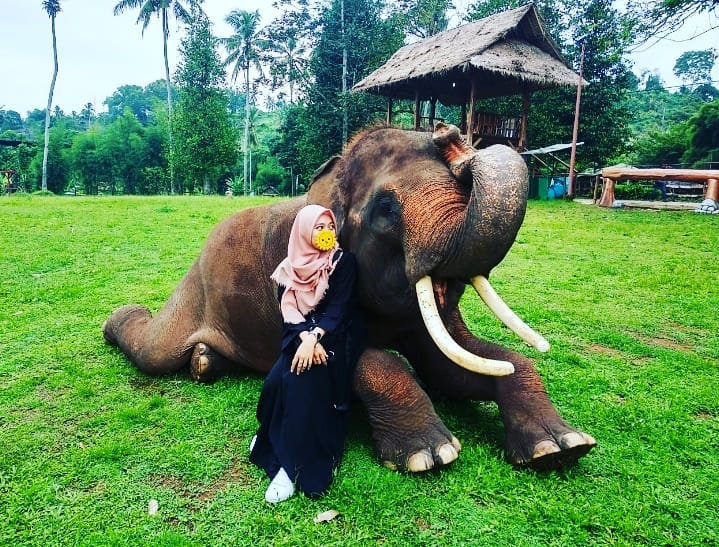 Taman Wisata, Wahana Wisata , Harga Tiket Masuk , Harga Penginapan Cottage , Lembah Hijau di Indonesia